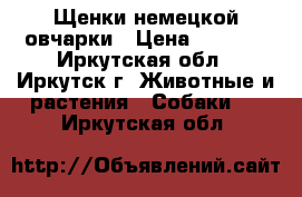 Щенки немецкой овчарки › Цена ­ 5 000 - Иркутская обл., Иркутск г. Животные и растения » Собаки   . Иркутская обл.